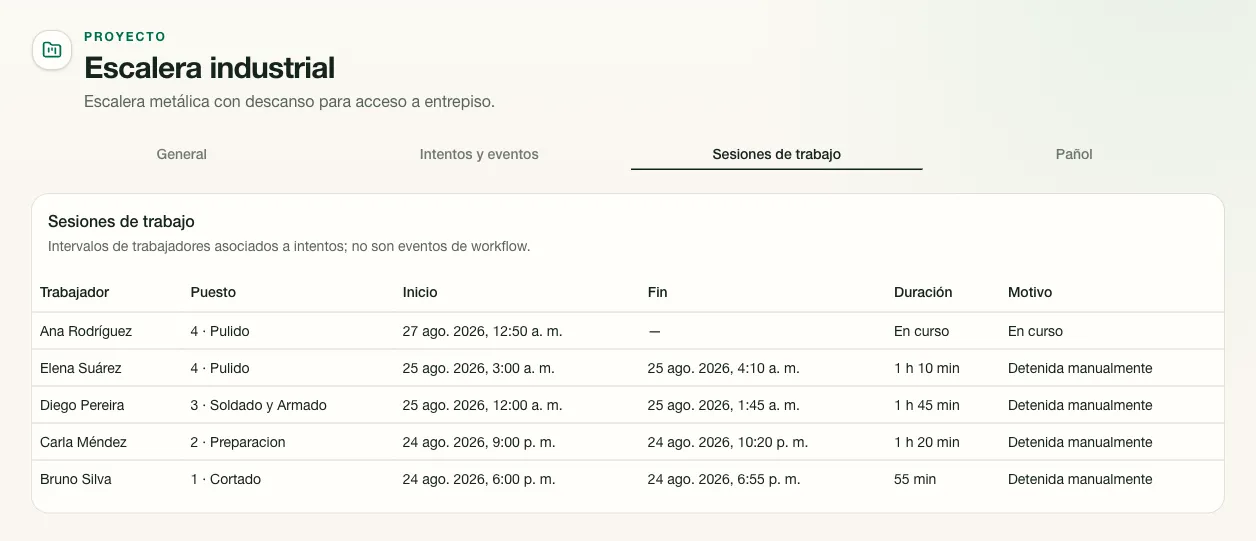 Sesiones de trabajo registradas para el proyecto.